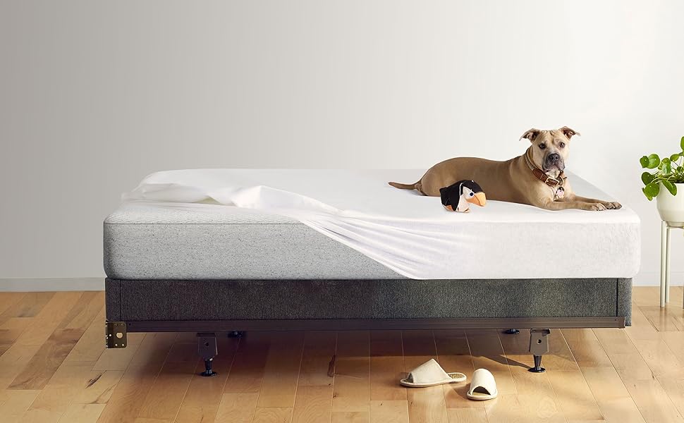 Anti Allergy Mattress Protector Anti Allergy Mattress Protector