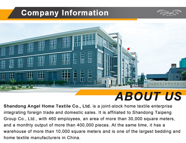 Company Information Company Information