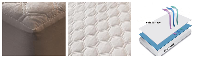 1743208658906052.jpg 1743208658906052.jpg