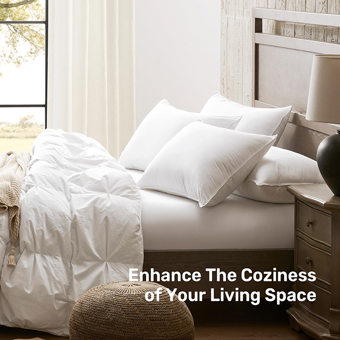 Coussins moelleux de l’hôtel