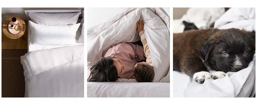 Anti Allergy Mattress Protector Anti Allergy Mattress Protector