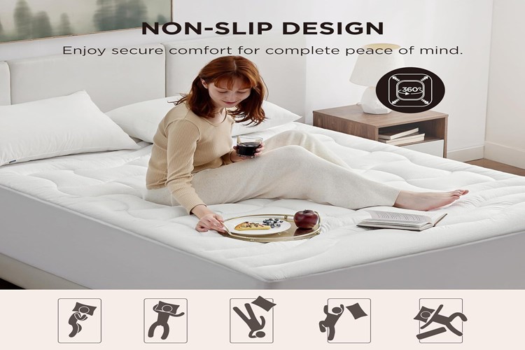 Praktische Auswahl.jpg